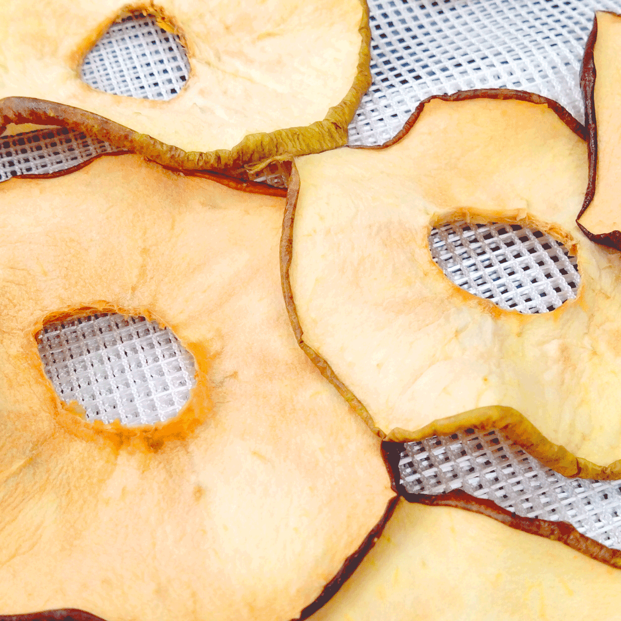 果樹（りんご/みかん/梨）のドライ加工